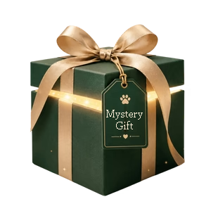 Mystery Gift